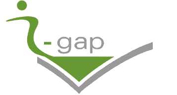 I-gap logo